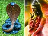 Shravana Amavasya 2021കാളസര്‍പ്പദോഷവും പിതൃദോഷവും നീക്കാന്‍ ശ്രാവണ അമാവാസി പൂജ
