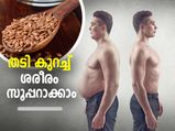 Flaxseeds For Weight Loss : തടി കുറച്ച് ശരീരം സൂപ്പറാക്കാം; ചണവിത്ത് ഇങ്ങനെ കഴിക്കണം