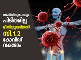 c.1.2 covid variant : വാക്‌സിനും പിടിതരില്ല, വ്യാപനതോതും അധികം;  പുതിയ കോവിഡ് വകഭേദം സി.1.2 