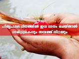 പിതൃപക്ഷത്തില്‍ ഇവ ദാനം ചെയ്യൂ സമ്പത്ത് കുമിഞ്ഞ് കൂടും