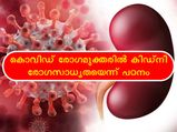 കൊവിഡ് രോഗത്തിന് ശേഷം കിഡ്‌നി രോഗ സാധ്യത നിസ്സാരമല്ല