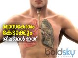 ഈ നാല് ശീലങ്ങള്‍ നിങ്ങളിലുണ്ടോ? ശ്വാസകോശം കേടാകുമെന്ന് ഉറപ്പ്