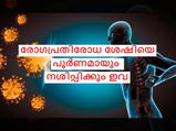 കൊവിഡ് ഭീഷണിയില്‍ രോഗപ്രതിരോധ ശേഷി കുറക്കും ഈ ഭക്ഷണം ശ്രദ്ധിക്കണം