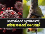 മൂന്നിലൊരാള്‍ക്ക് മരണം വിതയ്ക്കുന്ന  'നിയോകോവ് വൈറസ്'; മുന്നറിയിപ്പുമായി ചൈന