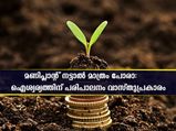 മണിപ്ലാന്റ് വെക്കുന്നത് സൂക്ഷിക്കണം: വാസ്തുപ്രകാരം ഐശ്വര്യത്തിന് വേണ്ടത്