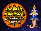 രാഹുവിന്റെ നക്ഷത്രമാറ്റം; ഈ 3 രാശിക്കാര്‍ക്ക് പ്രത്യേക നേട്ടങ്ങള്‍