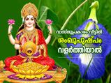 വീട്ടില്‍ ഈ ദിക്കില്‍ ശംഖുപുഷ്പം നട്ടാല്‍ സമ്പത്തും ഐശ്വര്യവും കാലാകാലം കൂടെ