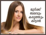 മുടിക്ക് ബലവും കരുത്തും, മുടികൊഴിച്ചിലും നീക്കും; ഈ മാസ്‌ക് മികച്ചത്