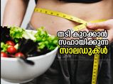 മെറ്റബോളിസം കൂട്ടാനും തടി കുറയ്ക്കാനും ഉത്തമം ഈ സലാഡ്; ഇങ്ങനെ തയ്യാറാക്കാം