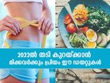 തടി കുറക്കാനായി ആളുകള്‍ക്ക് പ്രിയം ഈ ഡയറ്റുകള്‍; 2022ല്‍ മുന്‍പന്തിയിലുള്ളത് ഇവ 