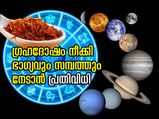 ഒരുനുള്ള് കുങ്കുമപ്പൂവിലൂടെ നേടാം സമ്പത്തും ഭാഗ്യവും; ഗ്രഹദോഷ നിവാരണത്തിന് ജ്യോതിഷപ്രതിവിധി