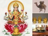 Feng Shui Tips 2023:  പുതുവര്‍ഷത്തില്‍ ഭാഗ്യവും സമ്പത്തും കൂടെക്കൂട്ടാം; ഈ ഫെങ് ഷൂയി ഭാഗ്യവസ്തുക്കള്‍ വീട്ടിലെ