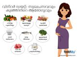വിന്റര്‍ ഡയറ്റ്:  ഗര്‍ഭത്തിലെ കുഞ്ഞിന് കൂര്‍മ്മബുദ്ധിക്ക് അമ്മക്കാവശ്യം ഇതെല്ലാം
