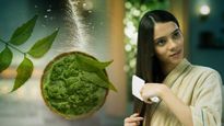 താരനെ ഒരു പൊളിപോലുമില്ലാതെ നൂറ് ശതമാനം തൂത്തെറിയും ആര്യവേപ്പിലെ മൂന്ന് വഴികള്‍