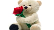Happy Teddy Day 2023: ഇന്ന് ടെഡ്ഡി ഡേ പ്രിയപ്പെട്ടവര്‍ക്ക് നല്‍കാന്‍ ഈ സമ്മാനങ്ങള്‍