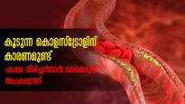  എന്തുകൊണ്ട് കൊളസ്‌ട്രോള്‍ കൂടുന്നു: ചെറിയ മാറ്റം പോലും ശ്രദ്ധിക്കണം