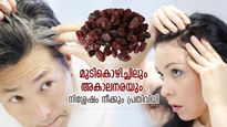  അകാലനര അടുത്തുവരില്ല, പ്രശ്‌നങ്ങളും നീങ്ങും; ദിനവും ഇത് കഴിച്ചാല്‍ മുടി വളര്‍ച്ച അതിവേഗം