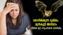 വീടിന് ചുറ്റം വവ്വാല്‍, ഉണങ്ങിയ തുളസിച്ചെടി; വരാനിരിക്കുന്ന ദുരിതം മുന്‍കൂട്ടി അറിയിക്കുന്ന സൂചനകള്‍