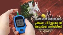 പ്രമേഹത്തെ പിടിച്ചുകെട്ടാം, കഠിനമാകാതെ നോക്കാം; ആയുര്‍വേദ പ്രതിവിധികള്‍