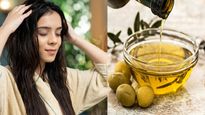 കറ്റാര്‍വാഴ ഒലീവ് ഓയില്‍ മിക്‌സ് : മുടിക്ക് തിളക്കവും ആരോഗ്യവും
