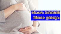  ഗര്‍ഭിണികള്‍ വേനലില്‍ ഇവയെല്ലാം കഴിച്ചാല്‍ കുഞ്ഞ് സ്മാര്‍ട്ടാവും