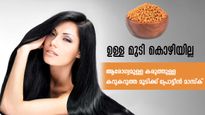 മുടിക്ക് വേണം പ്രോട്ടീന്‍ ചികിത്സ: വീട്ടില്‍ ചെയ്യാം എളുപ്പത്തില്‍