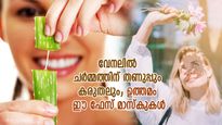 വേനലിൽ ചർമ്മത്തിന് തണുപ്പും കരുതലും; ഉത്തമം ഈ ഫേസ് മാസ്‌കുകള്‍
