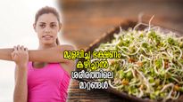 അമൃതിനു തുല്യം ദിനവും ഒരുപിടി മുളപ്പിച്ച ഭക്ഷണം; കഴിച്ചാലുള്ള മാറ്റം ഇത്
