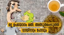 വായ്‌നാറ്റത്തെ അകറ്റാന്‍ ഒറ്റത്തവണ ഉപയോഗിച്ചാല്‍ മതി