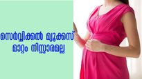ഗര്‍ഭിണിയാണോ എന്ന് സംശയമോ: സെര്‍വ്വിക്കല്‍ മ്യൂക്കസിലെ മാറ്റം നോക്കിയാലറിയാം