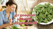 രക്തത്തിലെ പഞ്ചസാര കുറയ്ക്കാം, പ്രമേഹത്തെ നിയന്ത്രിക്കാം; ഈ ഇല കഴിച്ചാല്‍ ഇരട്ടി നേട്ടം 
