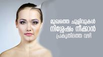 മുഖത്തെ ചുളിവിന് എളുപ്പ പരിഹാരം; ഈ പ്രകൃതിദത്ത കൂട്ട് നല്‍കും തിളങ്ങുന്ന മുഖം
