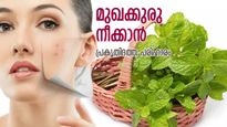 മുഖത്തെ കുരു ഇനി നിങ്ങളെ അലട്ടില്ല; പരിഹാരം ഈ ഇല