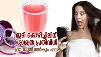 മുടി കൊഴിച്ചിലിനോട് വിടപറയാം, പനങ്കുല പോലെ മുടി സ്വന്തമാക്കാം