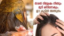 താരന്‍ നിശ്ശേഷം നീക്കാന്‍ മൈലാഞ്ചിക്കൂട്ട് 