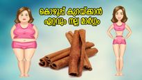 കൊഴുപ്പ് കാരണം ചാടിയ വയറും തടിയും കുറയ്ക്കാന്‍ ഏറ്റവും നല്ല മാര്‍ഗ്ഗം; ഇവ കഴിക്കൂ