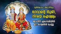 പാപങ്ങള്‍ നശിക്കും, ഐശ്വര്യം എക്കാലവും കൂടെ; ഭഗവാന്റെ തുണ, മോഹിനി ഏകാദശിയില്‍ ഇത് ചെയ്യൂ