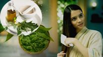  കറ്റാര്‍വാഴ ആര്യവേപ്പ് കാച്ചെണ്ണ: മുടിയെത്തും മുട്ടോളം- ഒരു മാസം കാത്തിരിക്കണം