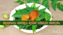 മഞ്ഞളും ആര്യവേപ്പും തലയില്‍ തേക്കൂ: താരനും ചൊറിച്ചിലും അകറ്റി മുടി മുട്ടോളം