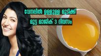  വേനലില്‍ മുടിപ്രശ്‌നങ്ങള്‍ അകറ്റാന്‍ മൂന്ന് ദിവസം മുട്ട മാസ്‌ക്