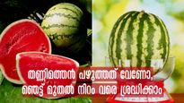 പുറംഭംഗി കണ്ട് വാങ്ങല്ലേ: തണ്ണിമത്തന്‍ നല്ല തേന്‍മധുരവും പഴുത്തതും വേണോ, ഇതെല്ലാം ശ്രദ്ധിക്കാം