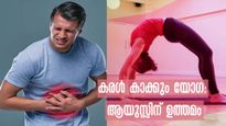 World Liver Day 2023: ഈ യോഗാസനങ്ങള്‍ ആയുസ്സ് തീരുമാനിക്കും: കരള്‍ ക്ലീനാക്കും സര്‍വ്വാംഗം ആരോഗ്യവു 