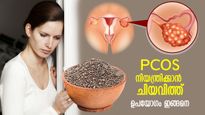 പിസിഒഎസ് നിയന്ത്രിക്കാന്‍ ചിയ വിത്ത്; ഇത്ര അളവില്‍ ഇങ്ങനെ കഴിച്ചാല്‍ ഗുണം