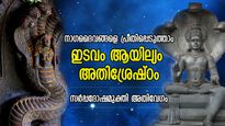 നാഗാരാധനയ്ക്ക് പൂര്‍ണ്ണഫലം, സര്‍പ്പദോഷം നിശ്ശേഷം നീങ്ങും; ഇടവം ആയില്യം അതിശ്രേഷ്ഠം
