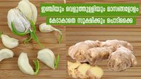 3 മാസത്തില്‍ കൂടുതല്‍ ഇഞ്ചിയും വെളുത്തുള്ളിയും ഫ്രഷ് ആക്കി വെക്കും പൊടിക്കൈ