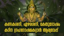 ഗ്രഹദോഷങ്ങളകറ്റാനും  ശനി-കേതു ദോഷങ്ങള്‍ക്ക് പരിഹാരം കാണുന്നതിനും ആര്യവേപ്പ്