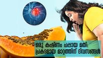 വെറും വയറ്റില്‍ ഒരേ ഒരു കഷ്ണം പപ്പായ ഒരാഴ്ച: ഉള്ളില്‍ നടക്കും മാറ്റങ്ങള്‍ അറിയാന്‍ വിരലിലെണ്ണം ദിനങ്ങള്‍