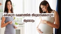  കുഞ്ഞുബുദ്ധി തെളിയാന്‍ ഗര്‍ഭകാലം 14-ാം ആഴ്ചയില്‍ കഴിക്കേണ്ടതും ഒഴിവാക്കേണ്ടതും