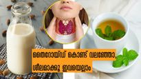 തൈറോയ്ഡ് പ്രശ്‌നമോ, ദിനവും ശീലമാക്കാം മഞ്ഞള്‍പ്പാല്‍ ഉള്‍പ്പടെ ഈ പാനീയങ്ങള്‍