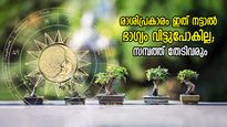 കാലാകാലം ഭാഗ്യം ഒപ്പം; ദോഷമുക്തിയും ഐശ്വര്യവും; രാശിപ്രകാരം ഈ മരങ്ങള്‍ നടൂ